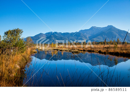 Kendlmuehlfilz near Grassau, an upland moor in Southern Bavaria, Germany 86589511