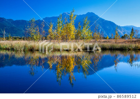 Kendlmuehlfilz near Grassau, an upland moor in Southern Bavaria, Germany 86589512