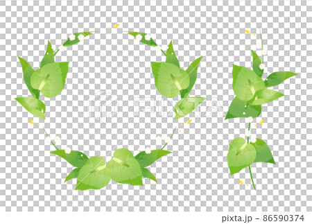 紅掌 紅掌 86590374