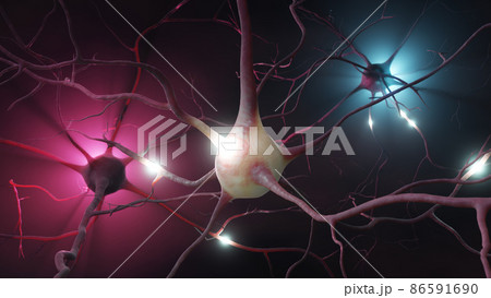 Neuron cluster signal transfer inside human brain Neuron cluster signal transfer inside human brain 86591690