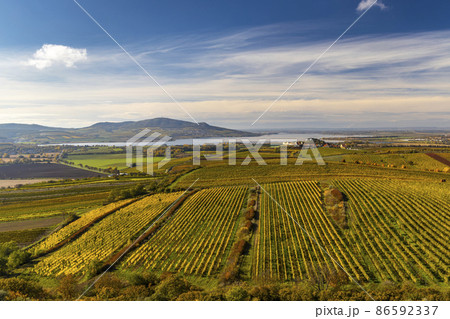 Vineyards under Palava, Southern Moravia, Czech Republic Vineyards under Palava, Southern Moravia, Czech Republic 86592337