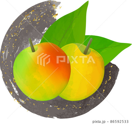 梅の実の水彩イラスト 86592533