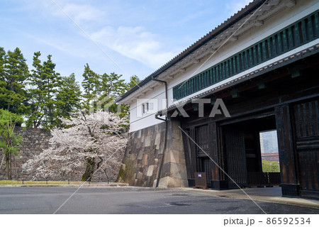 春の桜田門と桜 86592534
