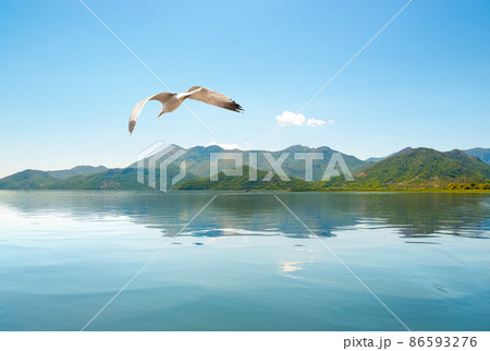 Skadar lake Montenegro 86593276
