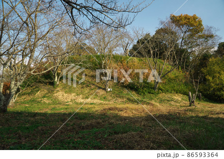神辺城（村尾城）跡の曲輪跡　広島県福山市神辺町 86593364