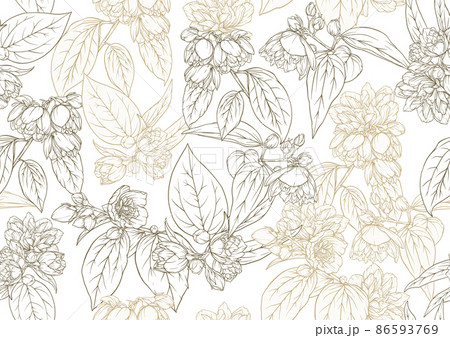 Jasmine Seamless pattern, background. Vector illustration. 86593769