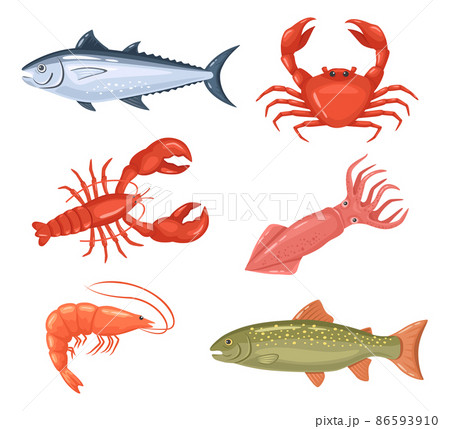 Cartoon seafood. Fresh fish, lobster, crab and red tuna. Raw products for shop or restaurant. Healthy food as shrimps Cartoon seafood. Fresh fish, lobster, crab and red tuna. Raw products for shop or restaurant. Healthy food as shrimps 86593910