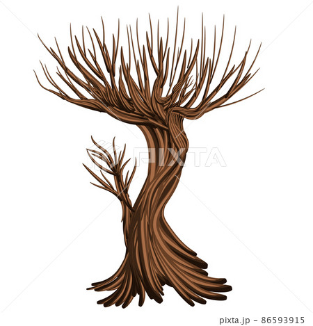 Vector image isolated on white background. Tree branch. Rostock. Tree.Concept. EPS 10 Vector image isolated on white background. Tree branch. Rostock. Tree.Concept. EPS 10 86593915