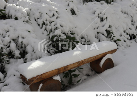 少し太陽の光りが当る緑の葉の木もベンチも地面も真っ白な雪でおおわれている冬の公園の風景 少し太陽の光りが当る緑の葉の木もベンチも地面も真っ白な雪でおおわれている冬の公園の風景 86593955