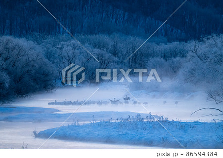 北海道音羽橋 丹頂鶴の眠る川 北海道音羽橋 丹頂鶴の眠る川 86594384