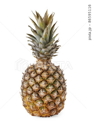 Pineapple Pineapple 86595116