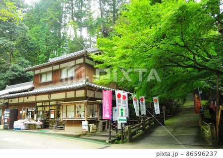姫路市　書写山円教寺　はづき茶屋と参道の深緑 86596237