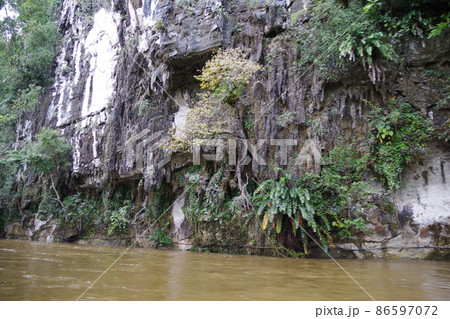 マレーシア　ボルネオ島の世界遺産　グヌン・ムル国立公園 86597072