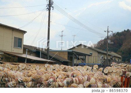 種付け用ホタテの貝殻と虫明漁港のカキ小屋　岡山県瀬戸内市 86598370