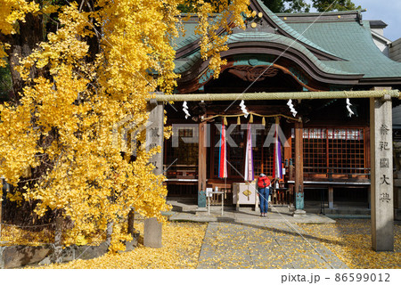 城東区中浜 白山神社 大銀杏 2021年12月8日撮影 86599012