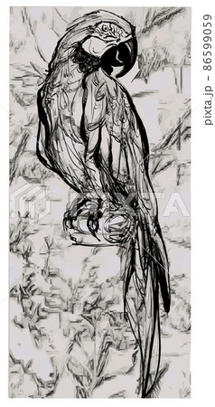 Exotic bird, parrot on a branch Exotic bird, parrot on a branch 86599059