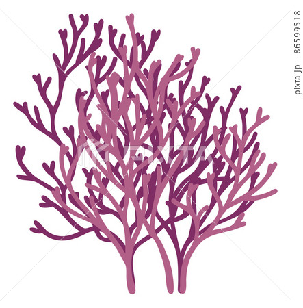 Red coral branch. Ocean reef plant. Wild sea flora 86599518