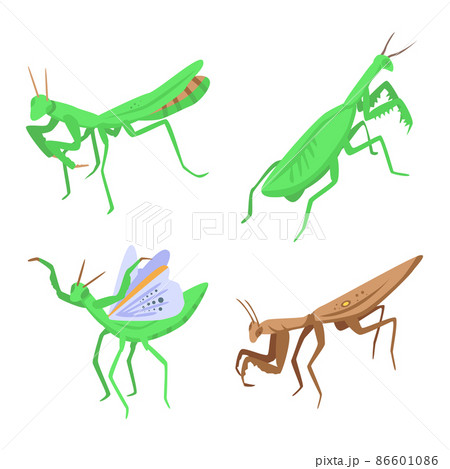 Mantis icons set, isometric style 86601086