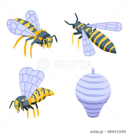 Wasp icons set, isometric style Wasp icons set, isometric style 86601089