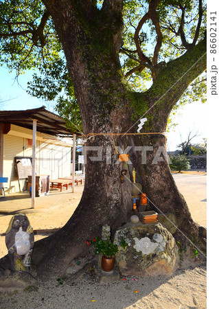 洲本城　続日本100名城 86602141