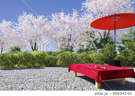 満開に咲く日本庭園の桜と抹茶と和菓子が置かれた茶屋のベンチ / 日本の春の象徴的イメージ 86604148