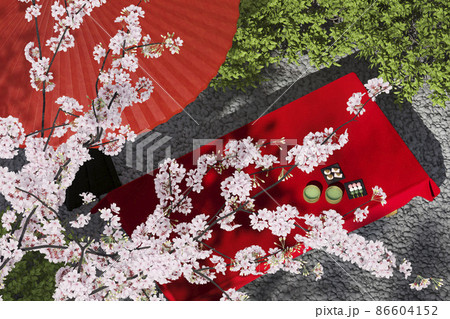 満開に咲く日本庭園の桜と抹茶と和菓子が置かれた茶屋のベンチ / 日本のお花見の象徴的イメージ 86604152