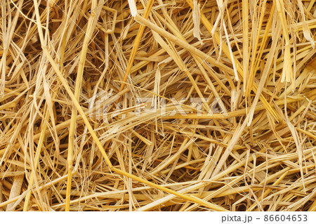 Dry straw texture for background and design art work, bales of cereal straw for cow and horse. 86604653