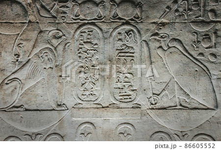 Bas-reliefs of the ancient Temple of Horus in Edfu, Egypt 86605552