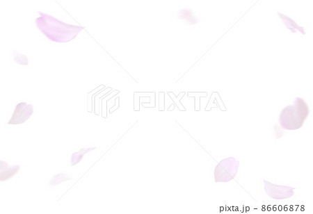 桜 さくら 花びら イラスト リアル セット 桜 さくら 花びら イラスト リアル セット 86606878
