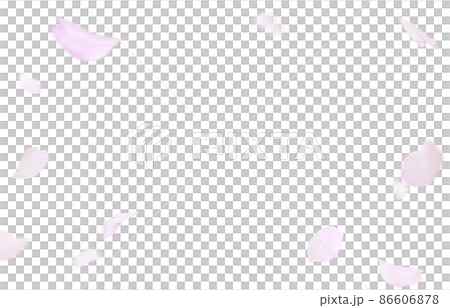 櫻花櫻花花瓣插圖真實套裝 86606878
