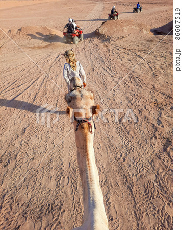 Bedouin leads a camel with a tourist in the desert 86607519