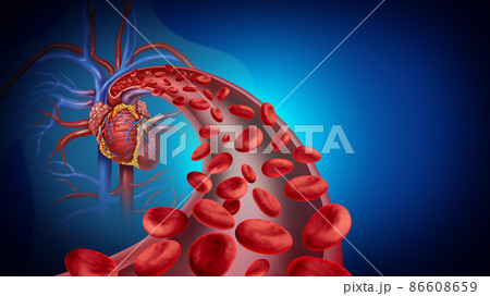 Heart Blood Circulation Heart Blood Circulation 86608659