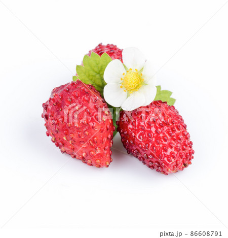 Wild strawberries closeup with green leaves isolated on white 86608791