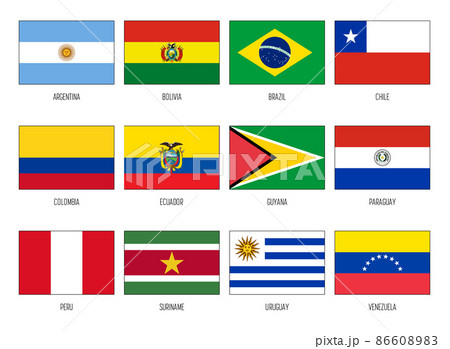South America vector national flag collection 86608983