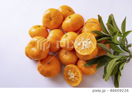 島みかん 86609226