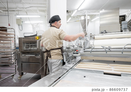 Baker working at industrial bakery preparing trays with fresh loaf. Baker working at industrial bakery preparing trays with fresh loaf. 86609737