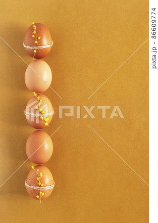 Decorated mimosa flowers chicken eggs, vertical row, Easter symbol, copyspace Decorated mimosa flowers chicken eggs, vertical row, Easter symbol, copyspace 86609774