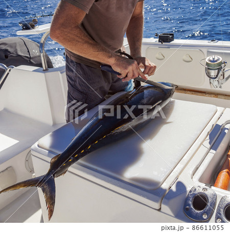 View of fisherman's hands and knife when cutting yellowfin tuna on board yacht at sea. 86611055