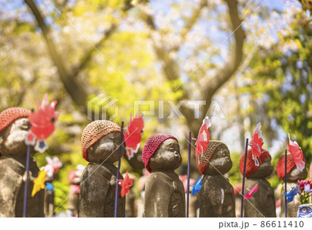 [東京・芝公園] 増上寺の桜の下に並んである千躰子育地蔵尊のクローズアップ。 86611410