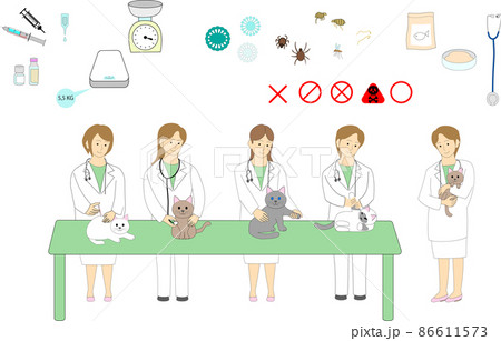 女性の獣医のグループ ワクチン 診察 検査 アイコンのセット 女性の獣医のグループ ワクチン 診察 検査 アイコンのセット 86611573