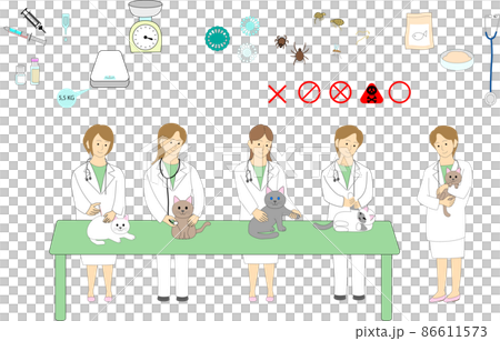 Female veterinarian group vaccine examination test icon set Female veterinarian group vaccine examination test icon set 86611573