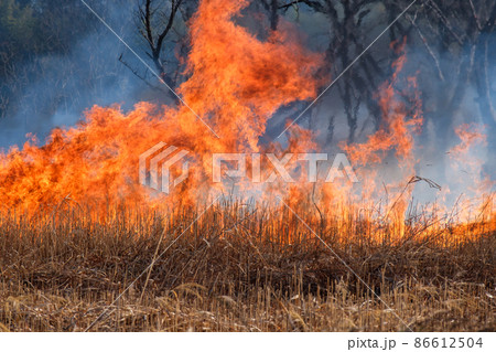 熱風と煙 86612504