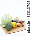 いろいろな野菜 86613795