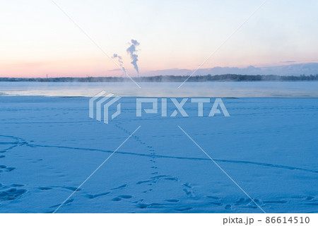 真冬早朝のウトナイ湖と気嵐 86614510