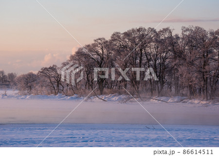 真冬早朝のウトナイ湖と気嵐 86614511