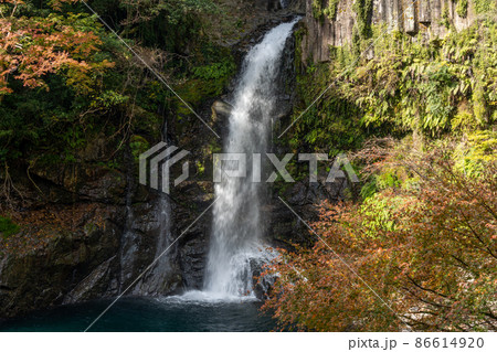 【静岡県】河津七滝 大滝 【静岡県】河津七滝 大滝 86614920