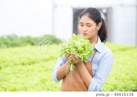 Young asian woman working in hydroponic system vegetables organic lettuce farm. 86616138