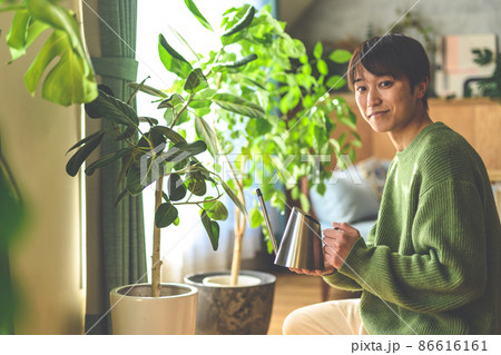 Image photo 86616161