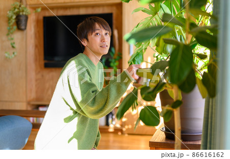 Image photo 86616162