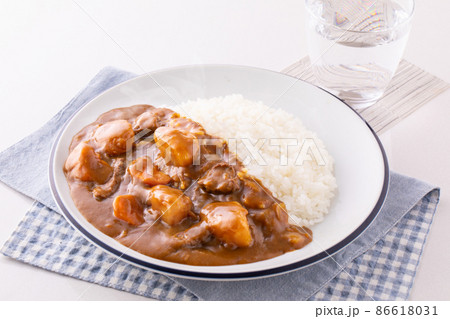 カレーライス カレーライス 86618031